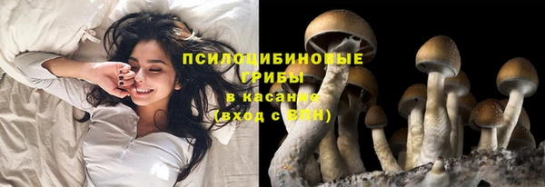мет Горняк