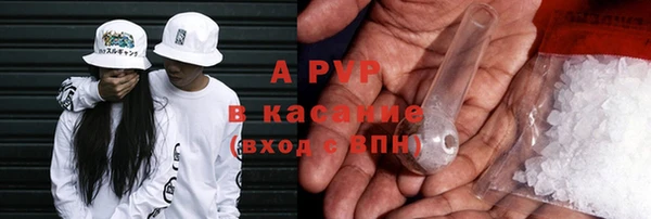 винт Горно-Алтайск