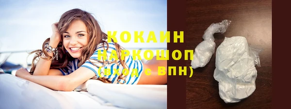 сатива Горнозаводск