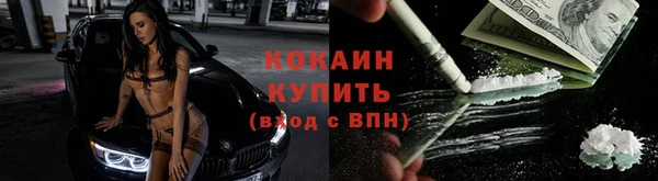 стафф Вязьма