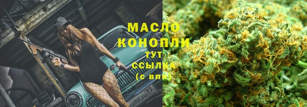 сатива Горнозаводск