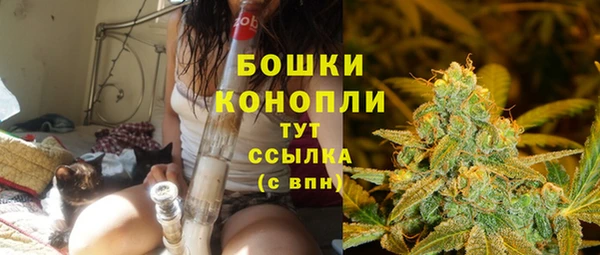 сатива Горнозаводск