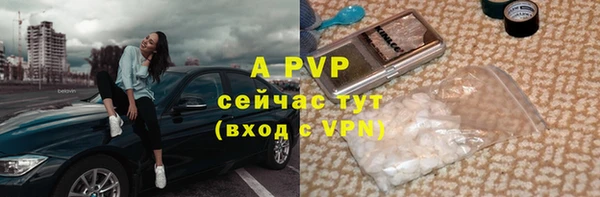 сатива Горнозаводск