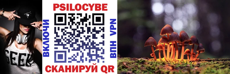 закладка  кракен tor  Псилоцибиновые грибы Psilocybe  Звенигово 