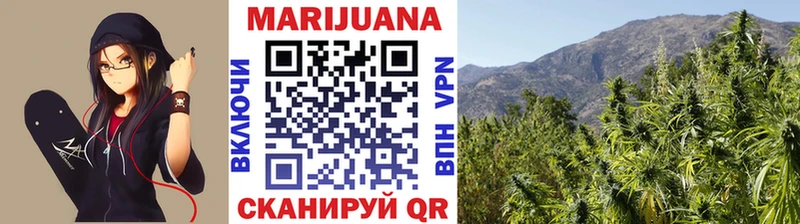 где купить   даркнет формула  Бошки марихуана сатива  Звенигово 